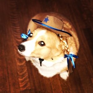 Meet your Posher, Leah